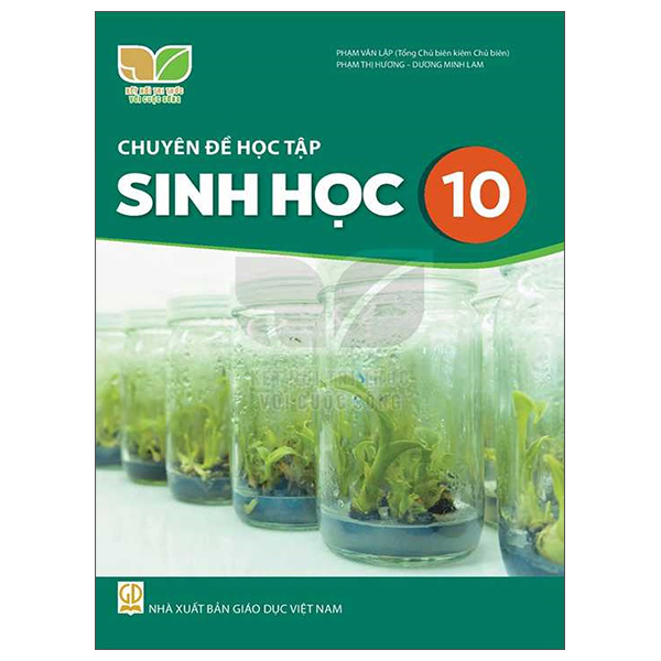 Lich Su 10 (Ket Noi) (Chuan) - Ảnh 2