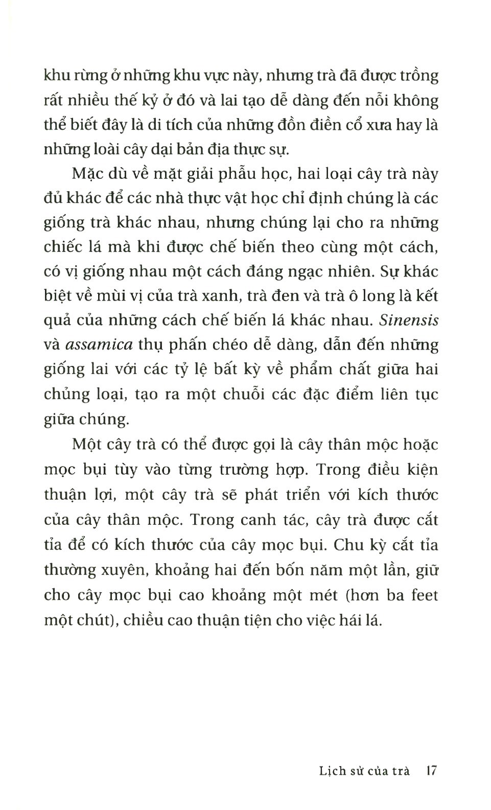 lịch sử của trà - Ảnh 5