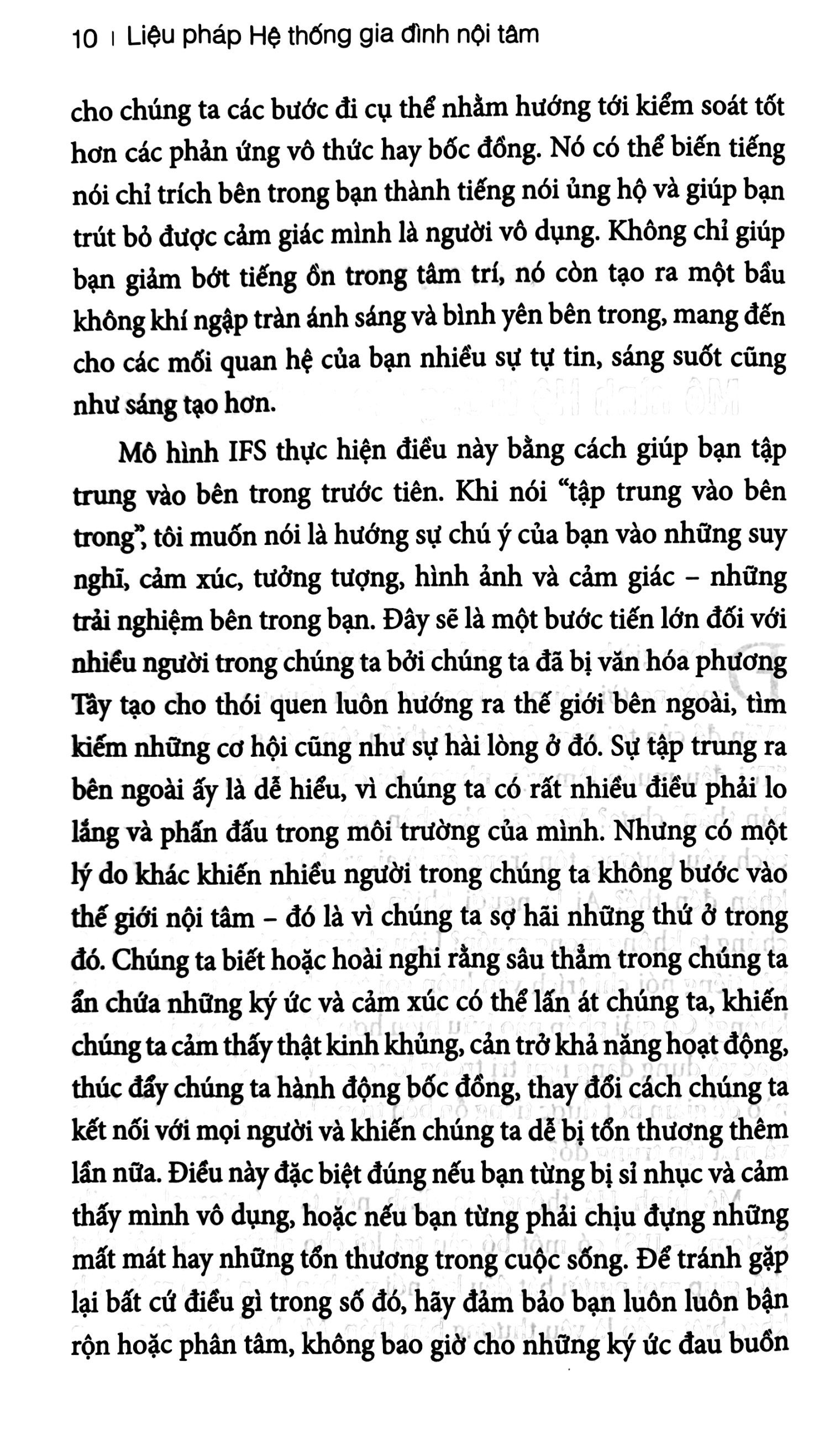 liệu pháp hệ thống gia đình nội tâm - Ảnh 10