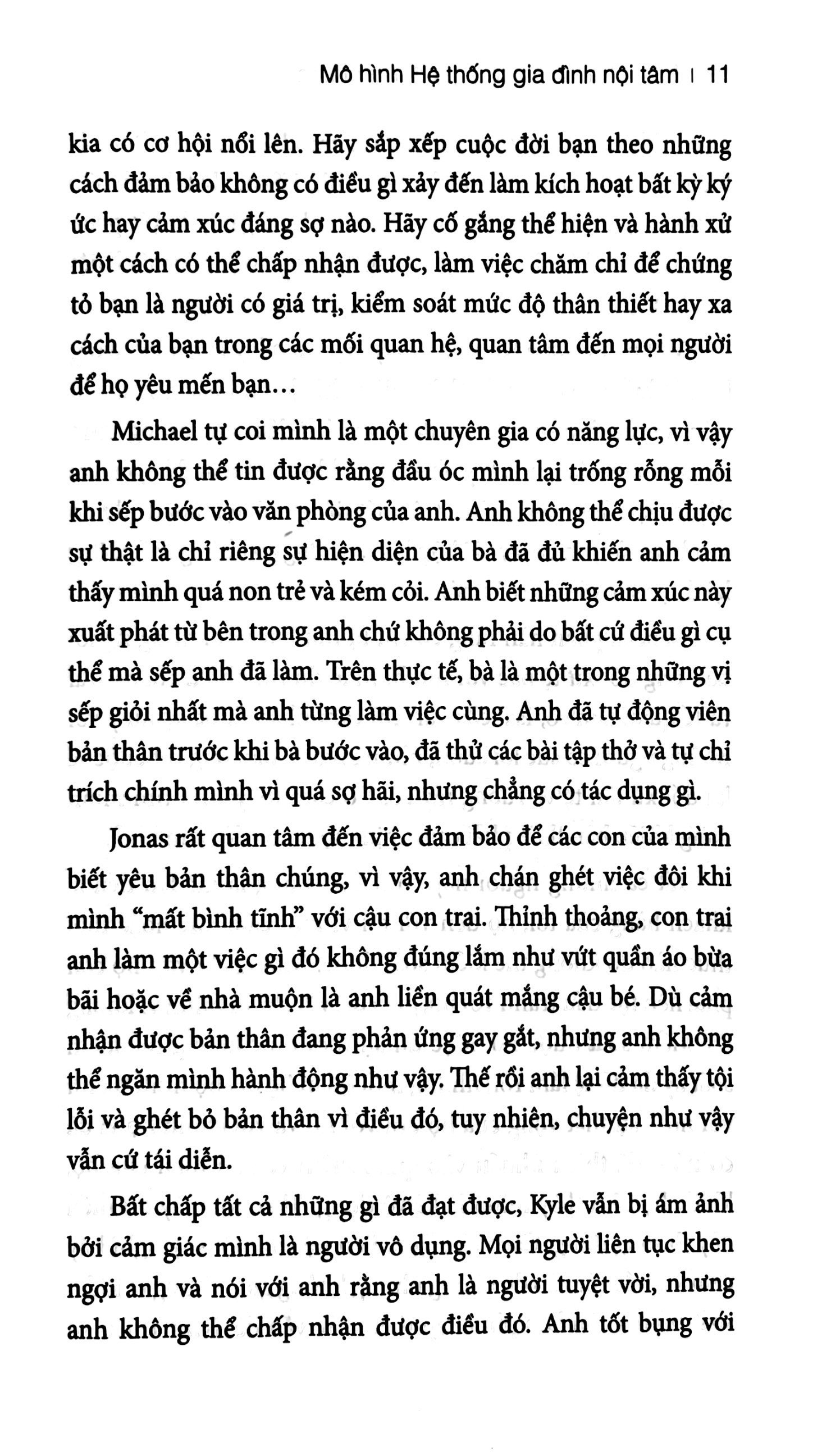 liệu pháp hệ thống gia đình nội tâm - Ảnh 12