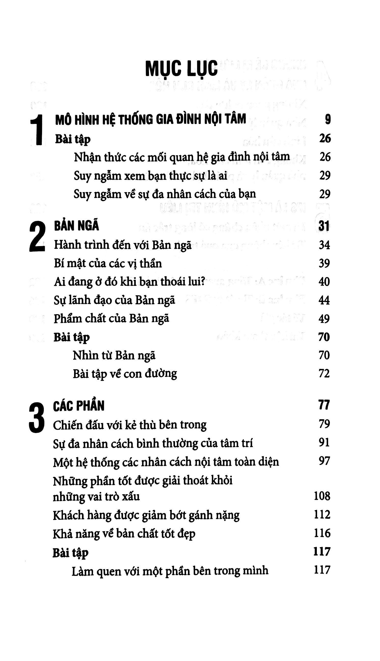 liệu pháp hệ thống gia đình nội tâm - Ảnh 5