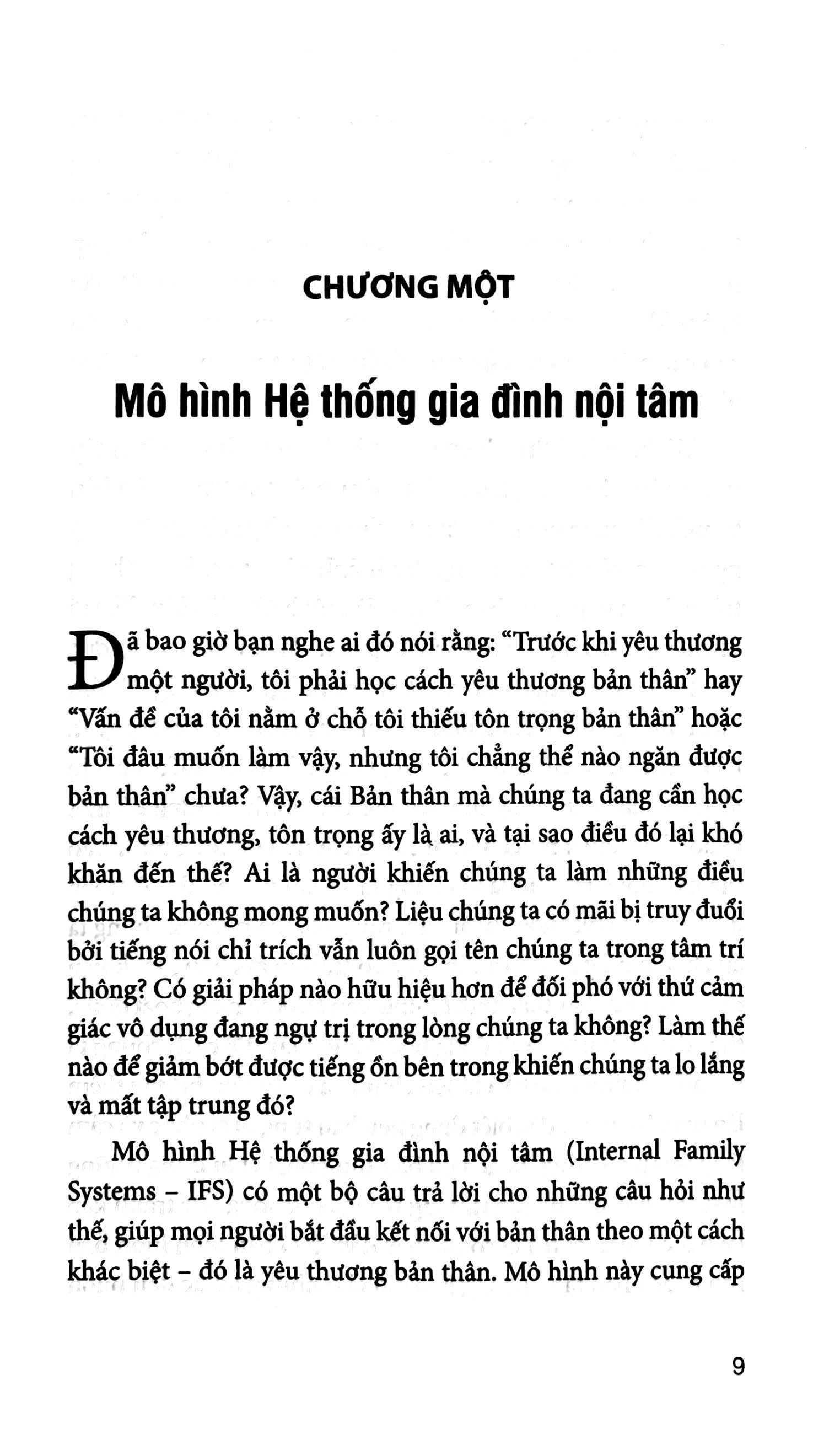 liệu pháp hệ thống gia đình nội tâm - Ảnh 8