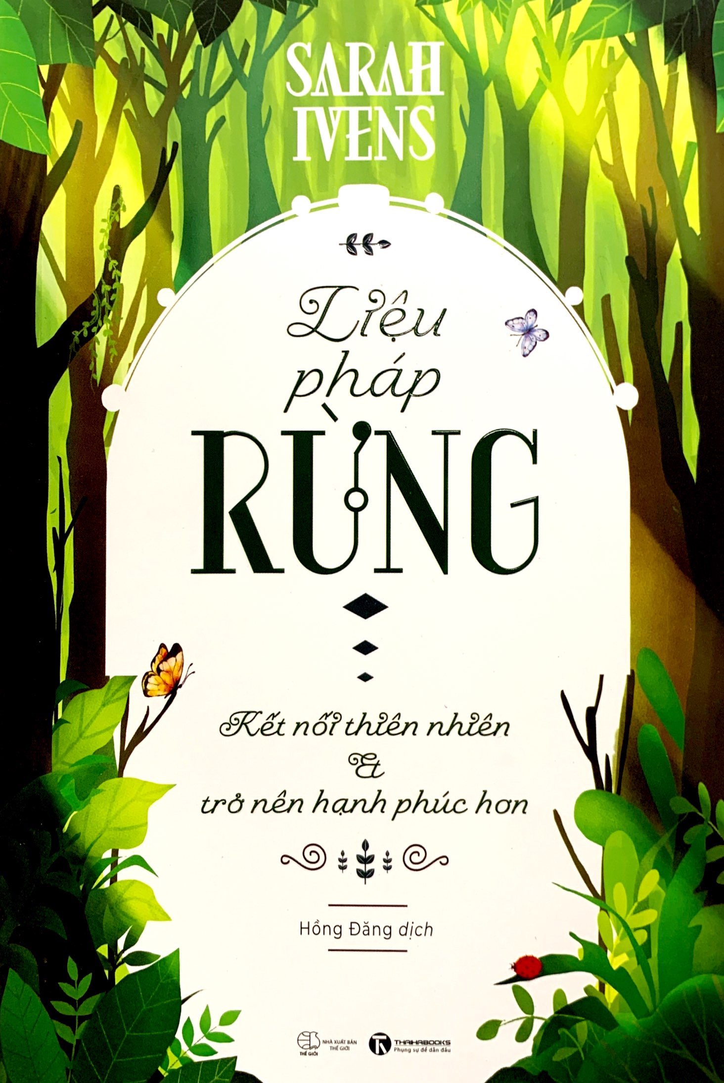 liệu pháp rừng - kết nối thiên nhiên và trở nên hạnh phúc hơn - Ảnh 2