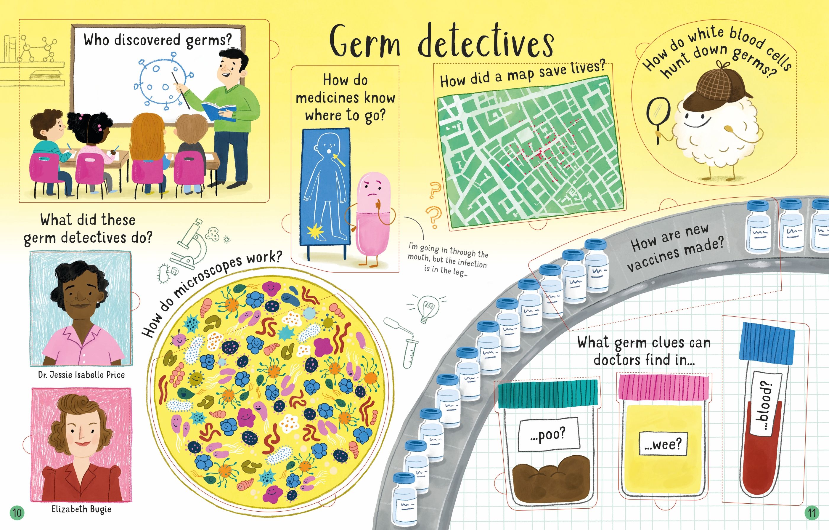 lift the flap - questions and answers about germs - Ảnh 4