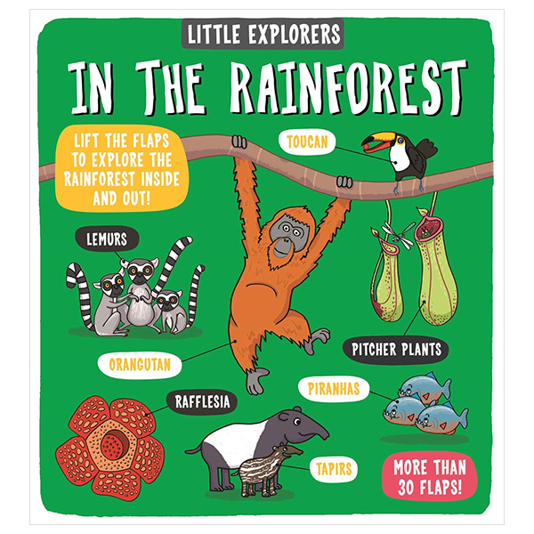 little explorers - in the rainfore