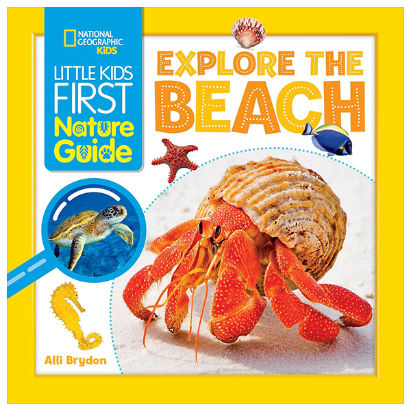 little kids first nature guide - explore the beach