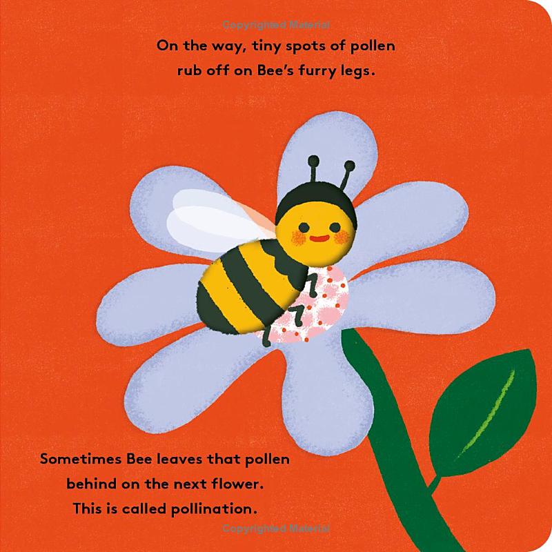 little life cycles - bee - Ảnh 6