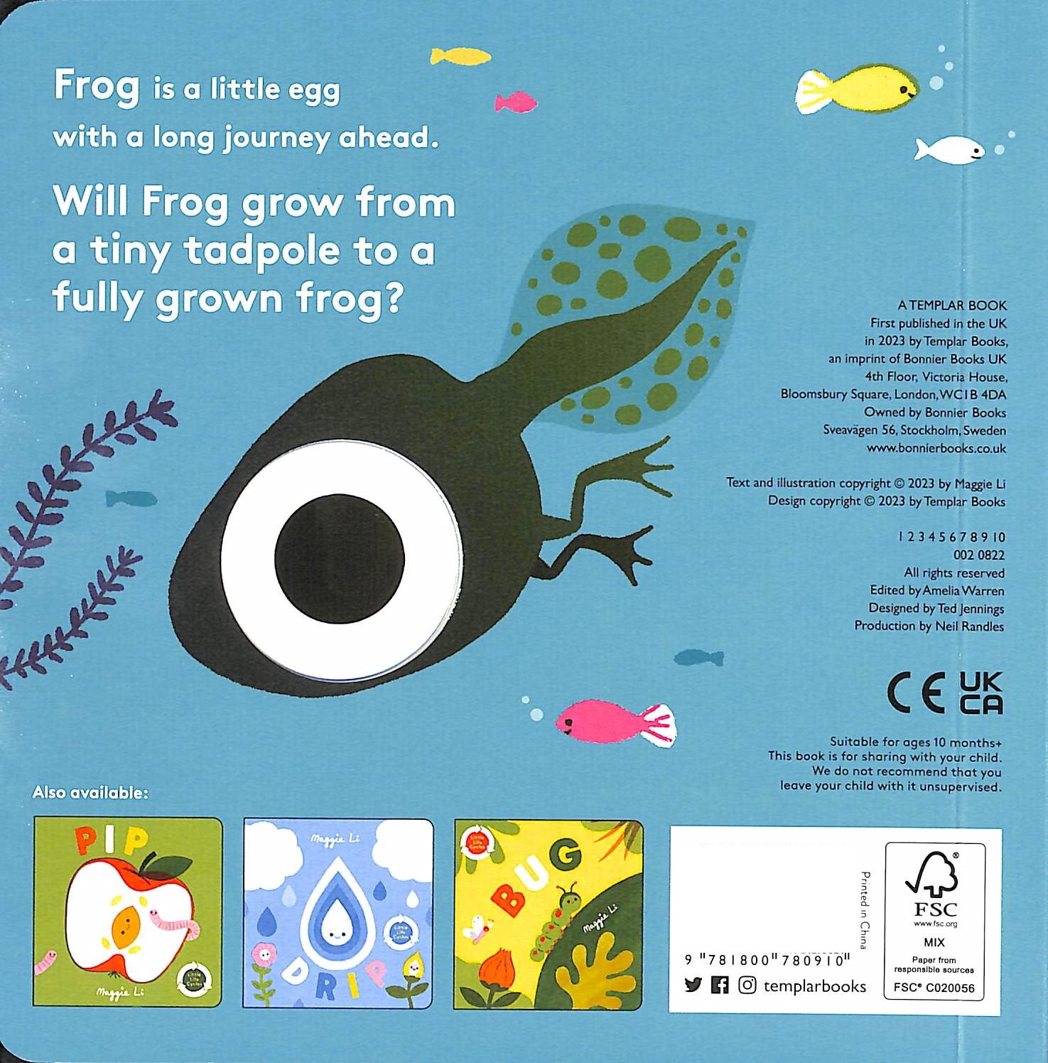 little life cycles - frog - Ảnh 8