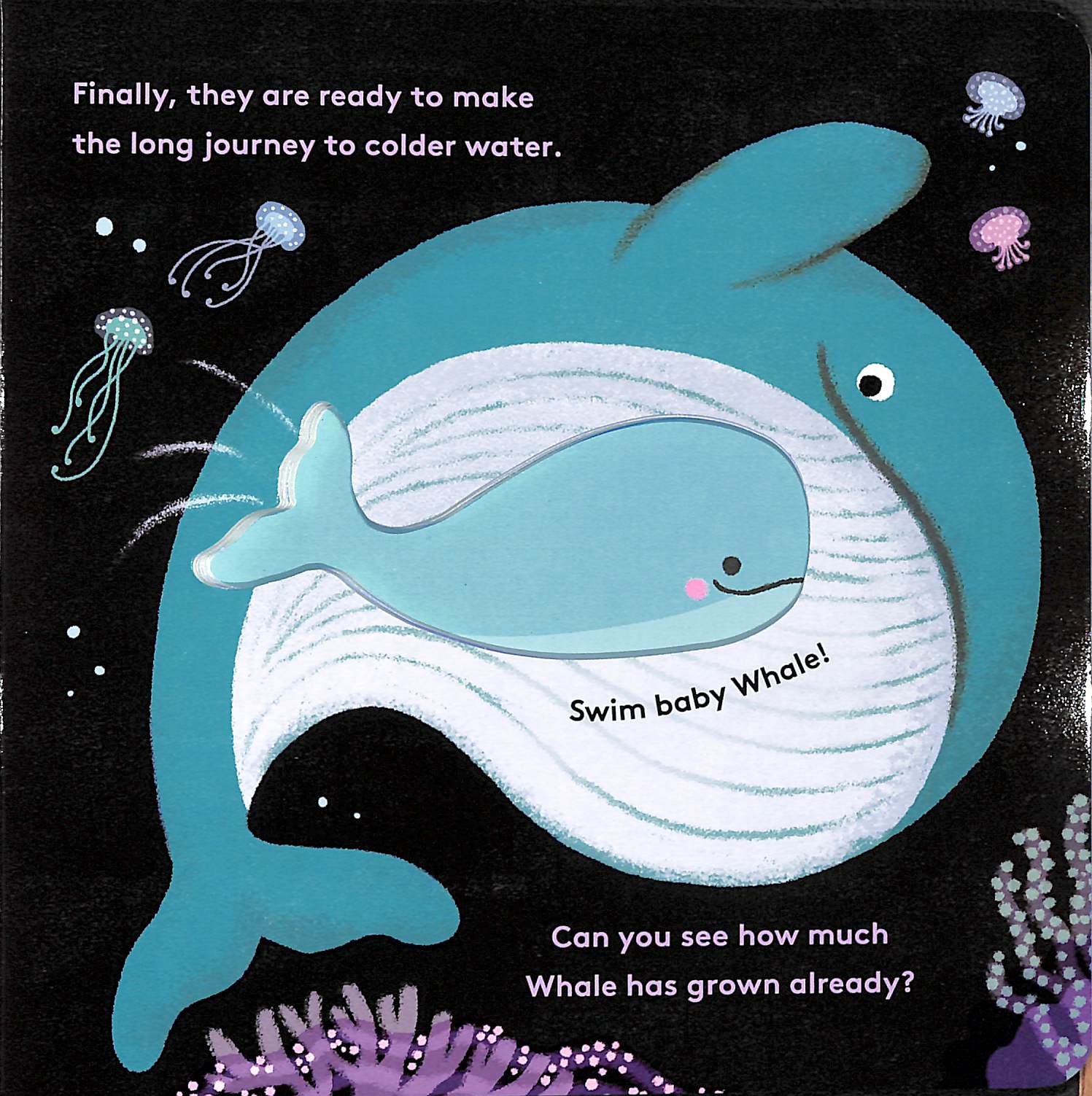 little life cycles - whale - Ảnh 5