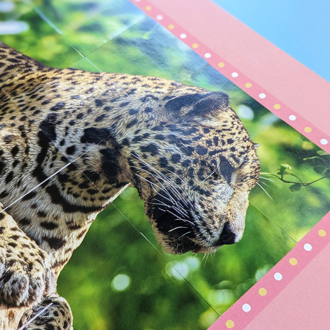 little wonders sticker by number - jungle animals - Ảnh 9