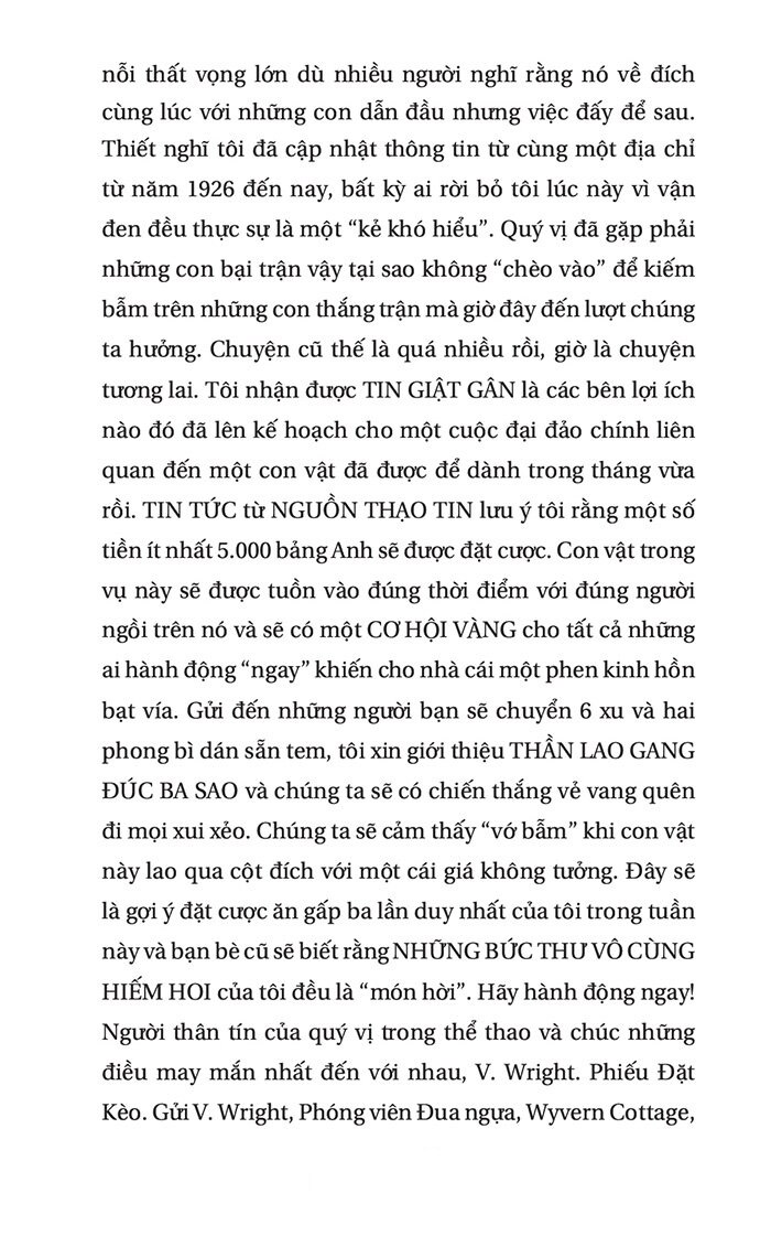 lời nguyền theo cánh thiên di - Ảnh 11