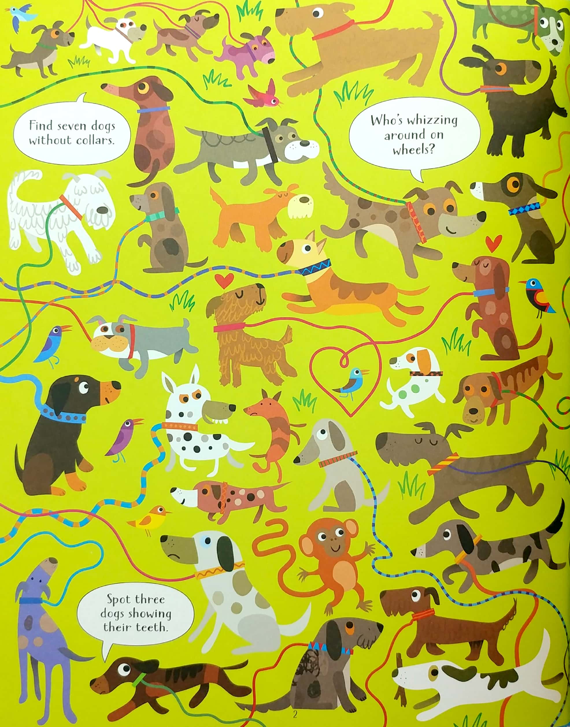 look and find cats and dogs - Ảnh 2