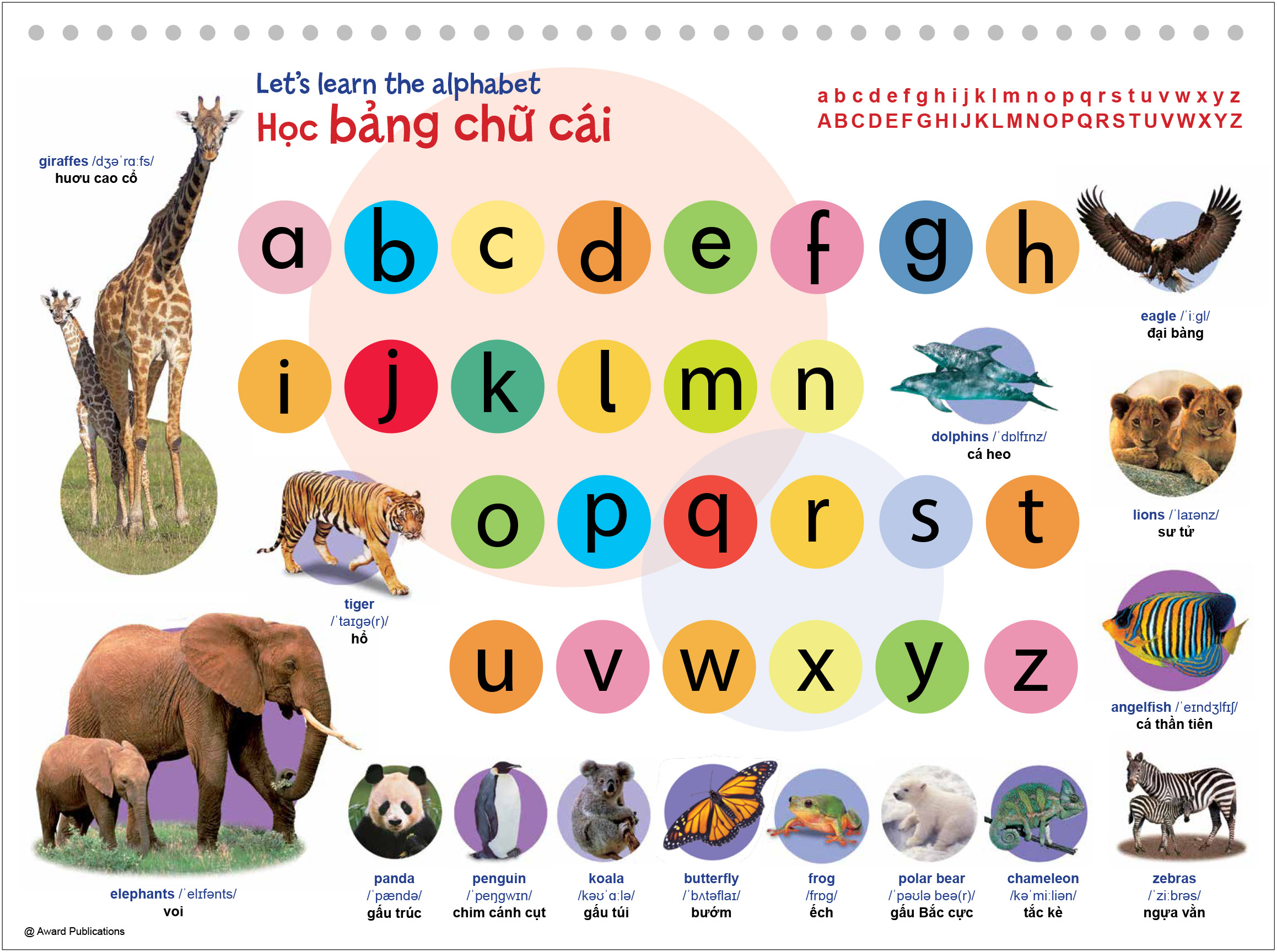 Look And Learn - Nhin Hinh Anh, Hoc Tieng Anh - Ảnh 3