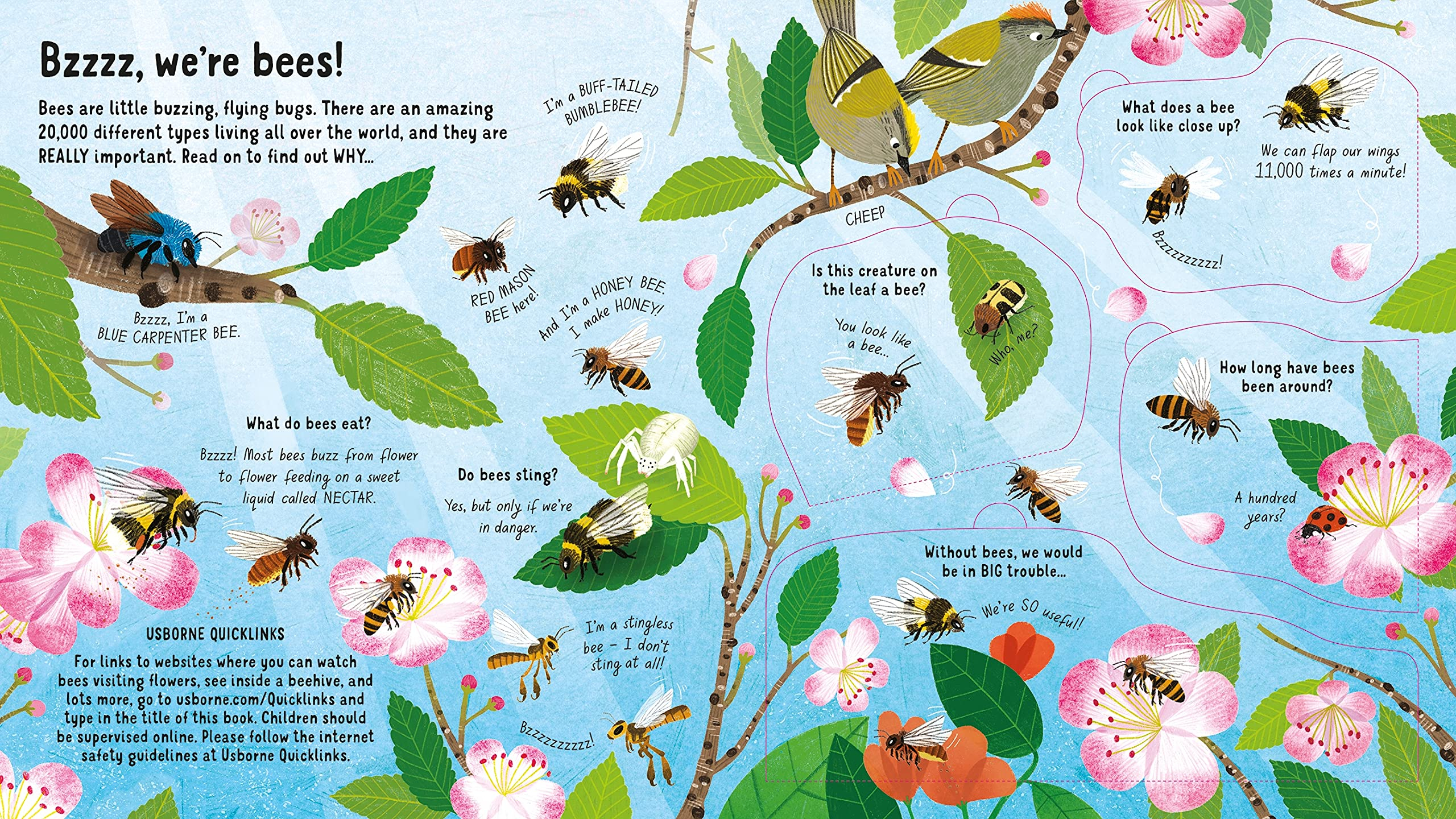 look inside the world of bees - Ảnh 2