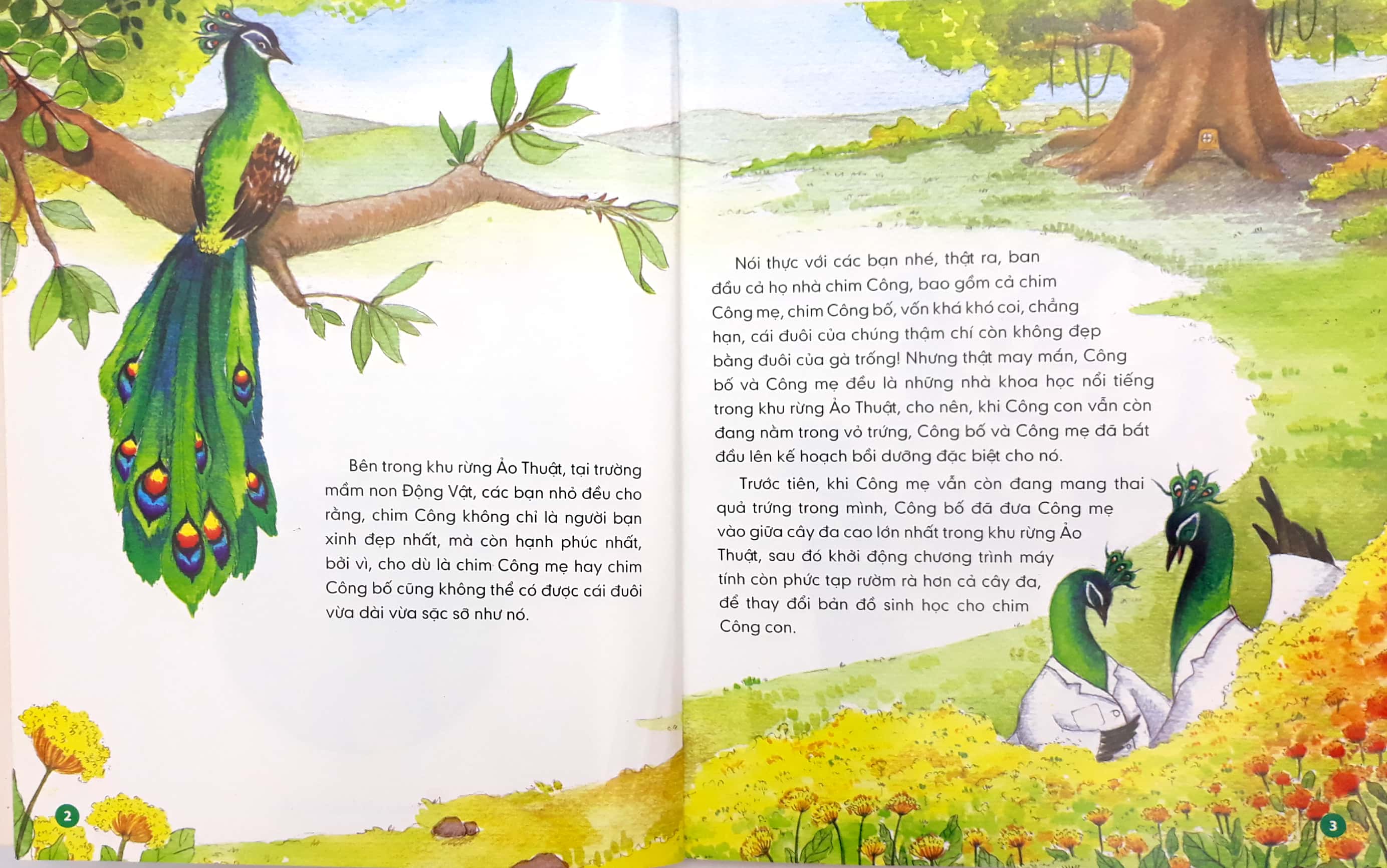 Lop Hoc Tren Can - Chim Cong Dom Dang - Ảnh 4
