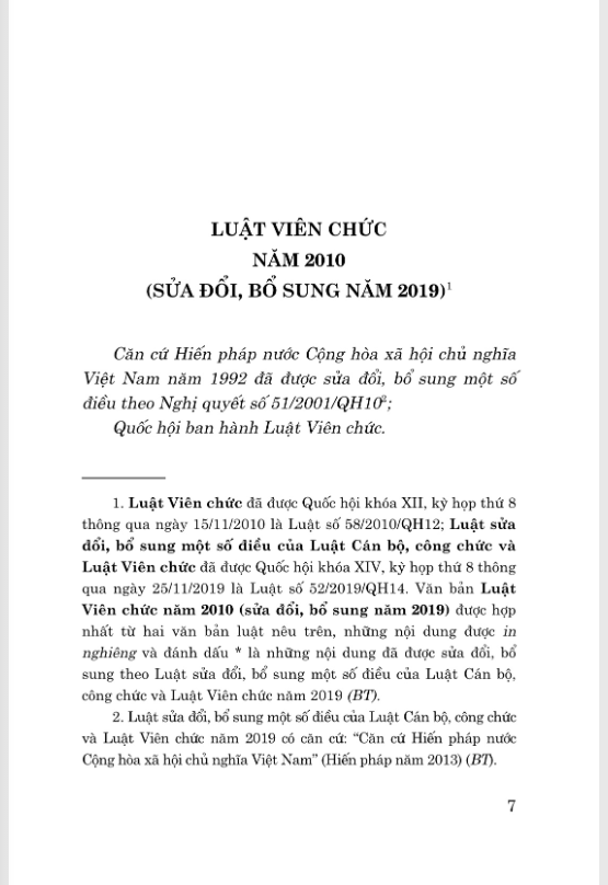 luật viên chức năm 2010 (sửa đổi, bổ sung năm 2019) - Ảnh 3