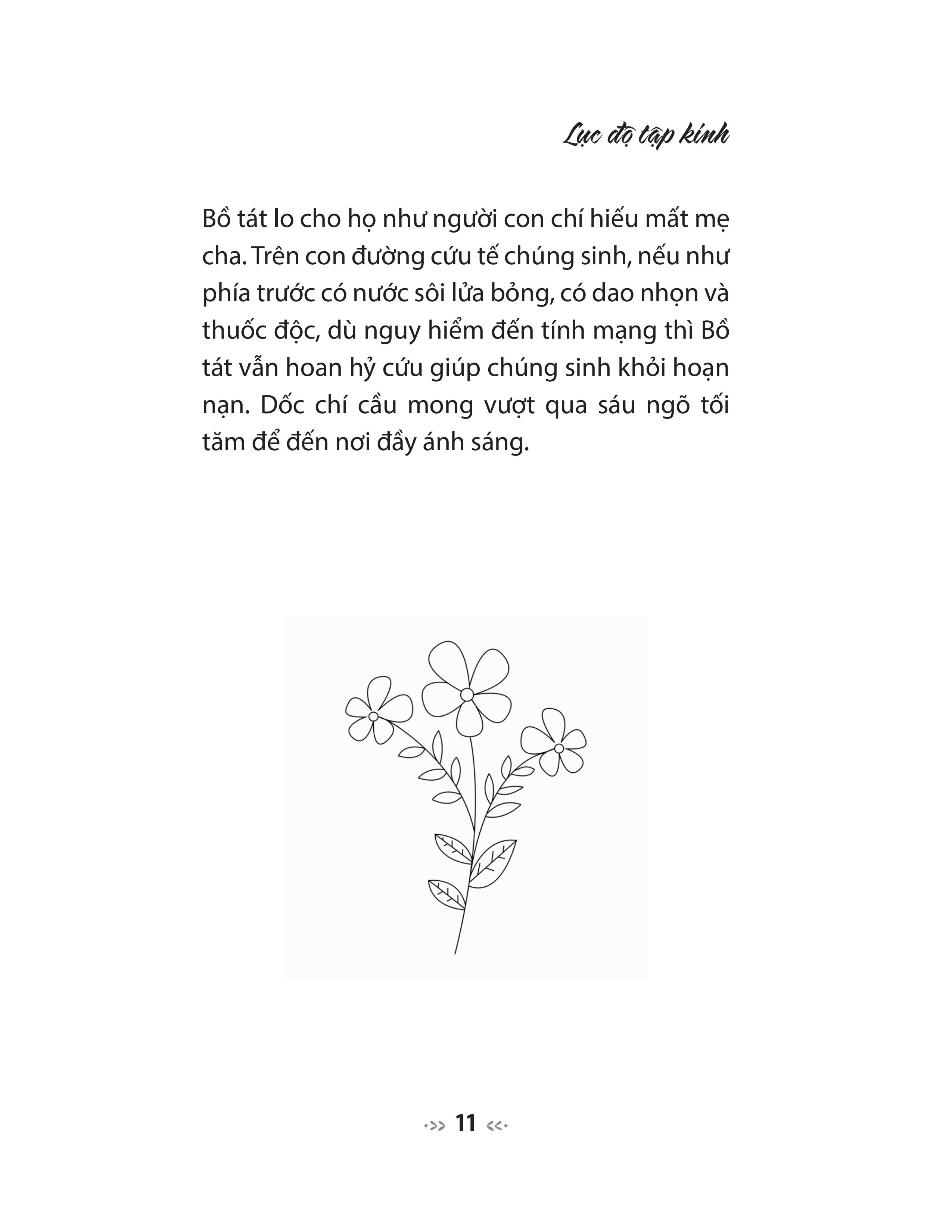 lục độ tập kinh - truyện tiền thân của đức phật - tinh tấn, thiền định và trí tuệ - Ảnh 4