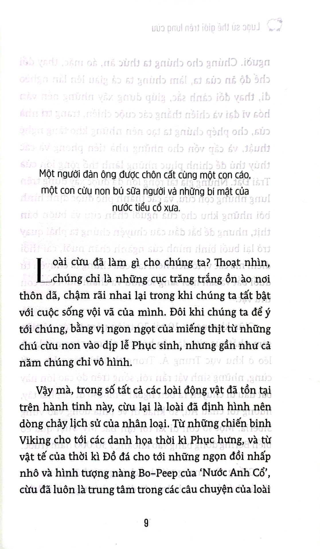lược sử thế giới trên lưng cừu - Ảnh 6