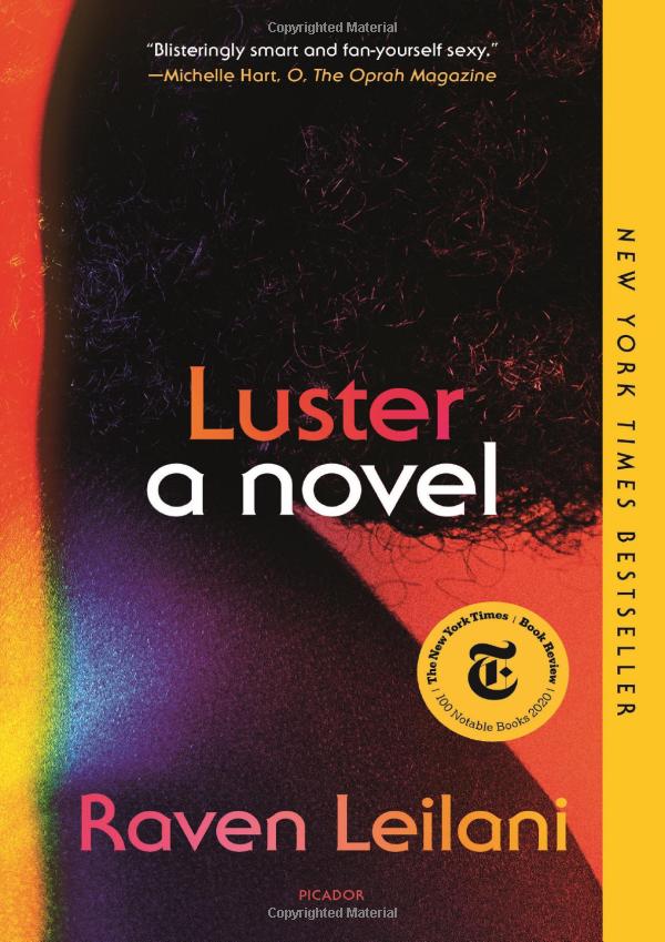 luster: a novel - Ảnh 2