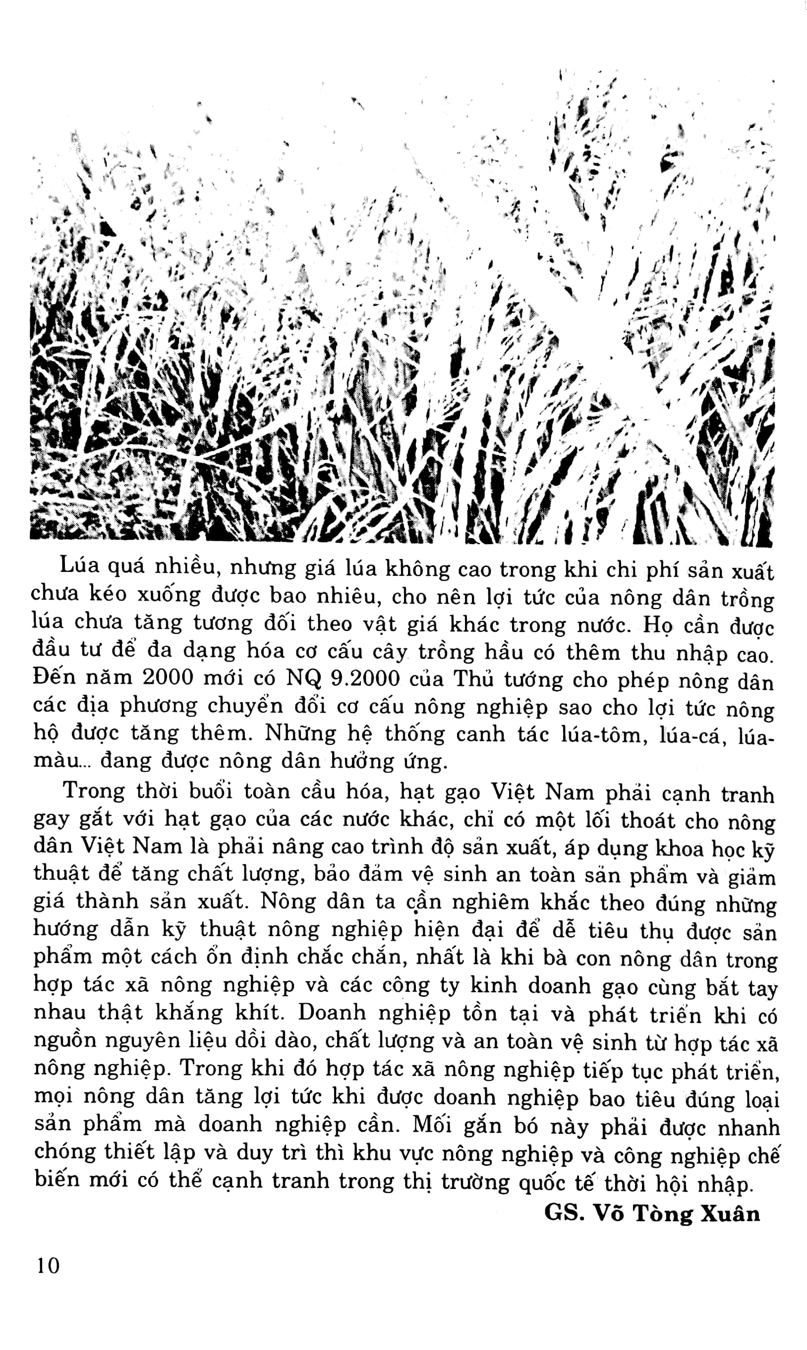 luyện viết văn hay lớp 9 - Ảnh 7