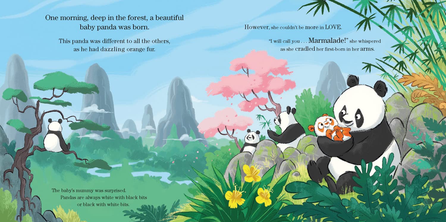 marmalade - the orange panda - Ảnh 3
