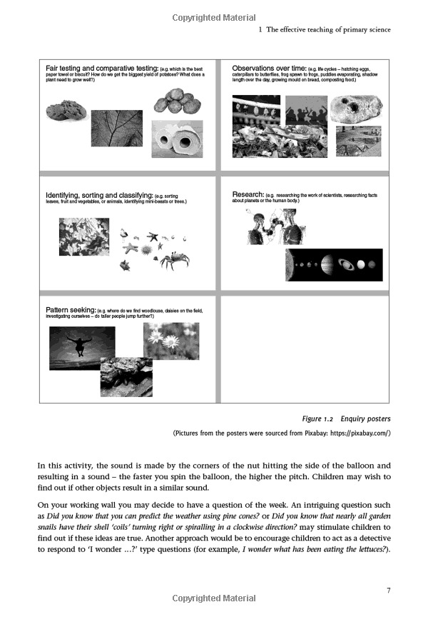 mastery in primary science (exploring the primary curriculum) - Ảnh 11