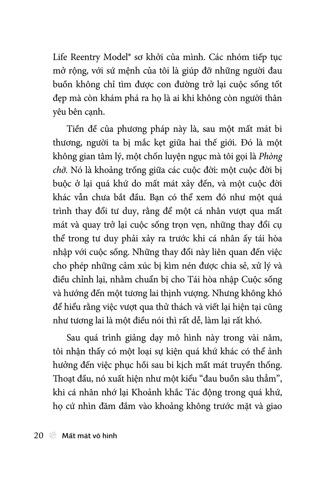 mất mát vô hình - invisible loss - Ảnh 4