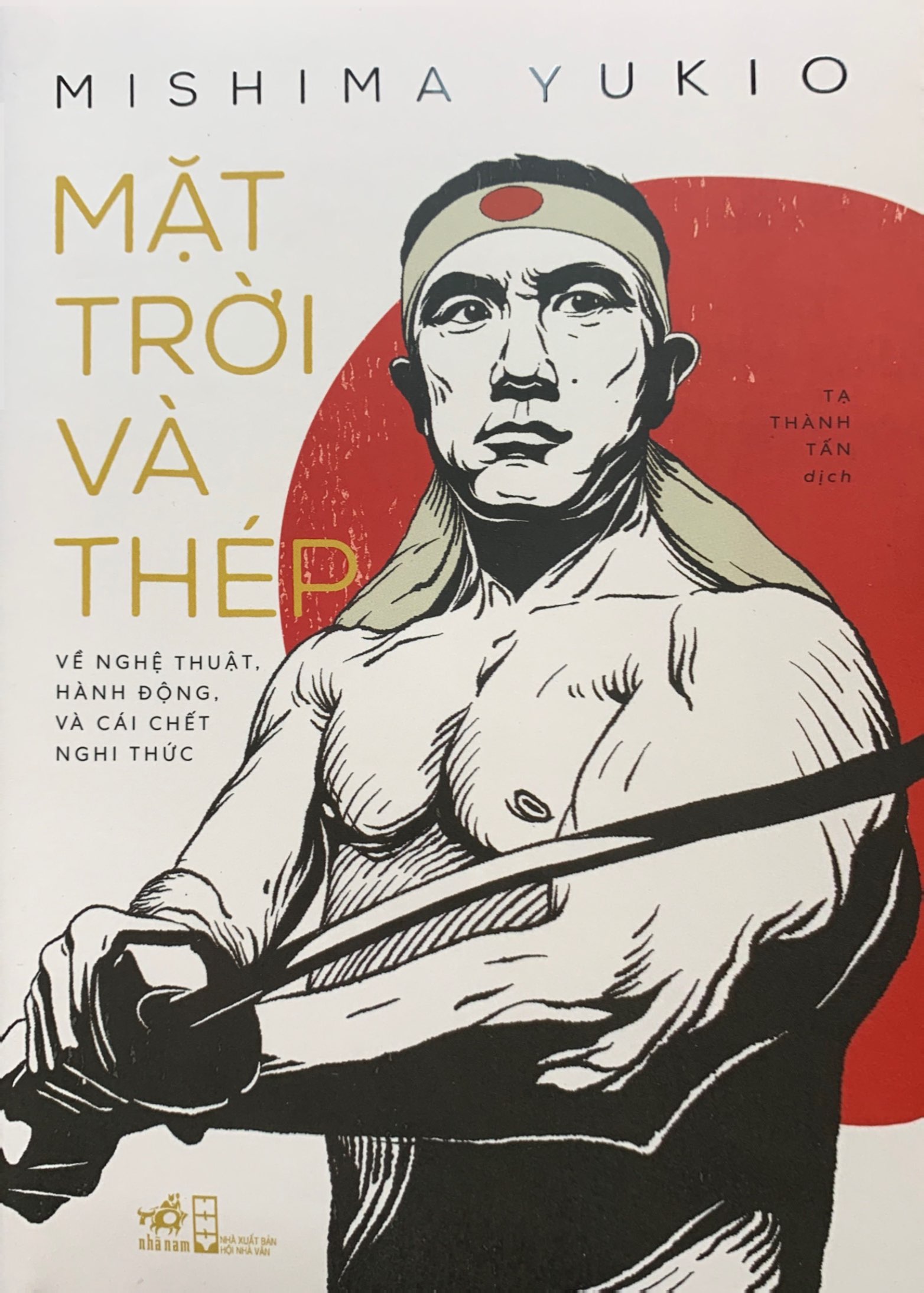mặt trời và thép - Ảnh 3