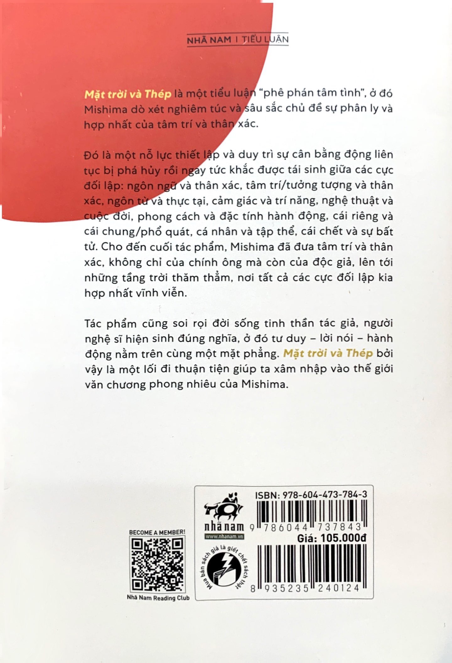 mặt trời và thép - Ảnh 9