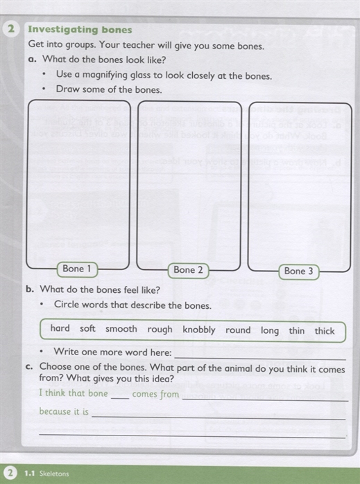 max science primary grade 4 workbook - Ảnh 3
