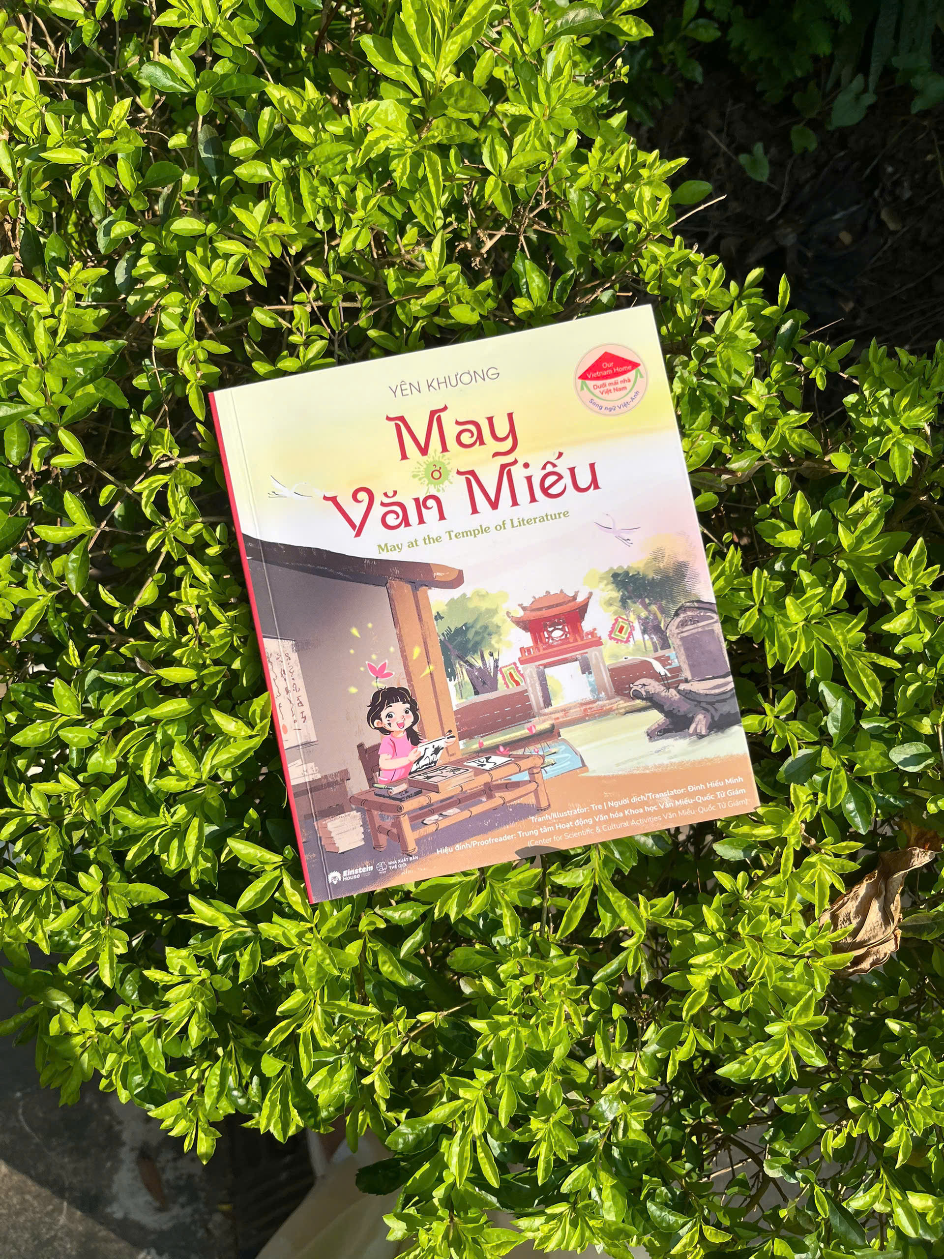 May Ở Văn Miếu - Ảnh 5