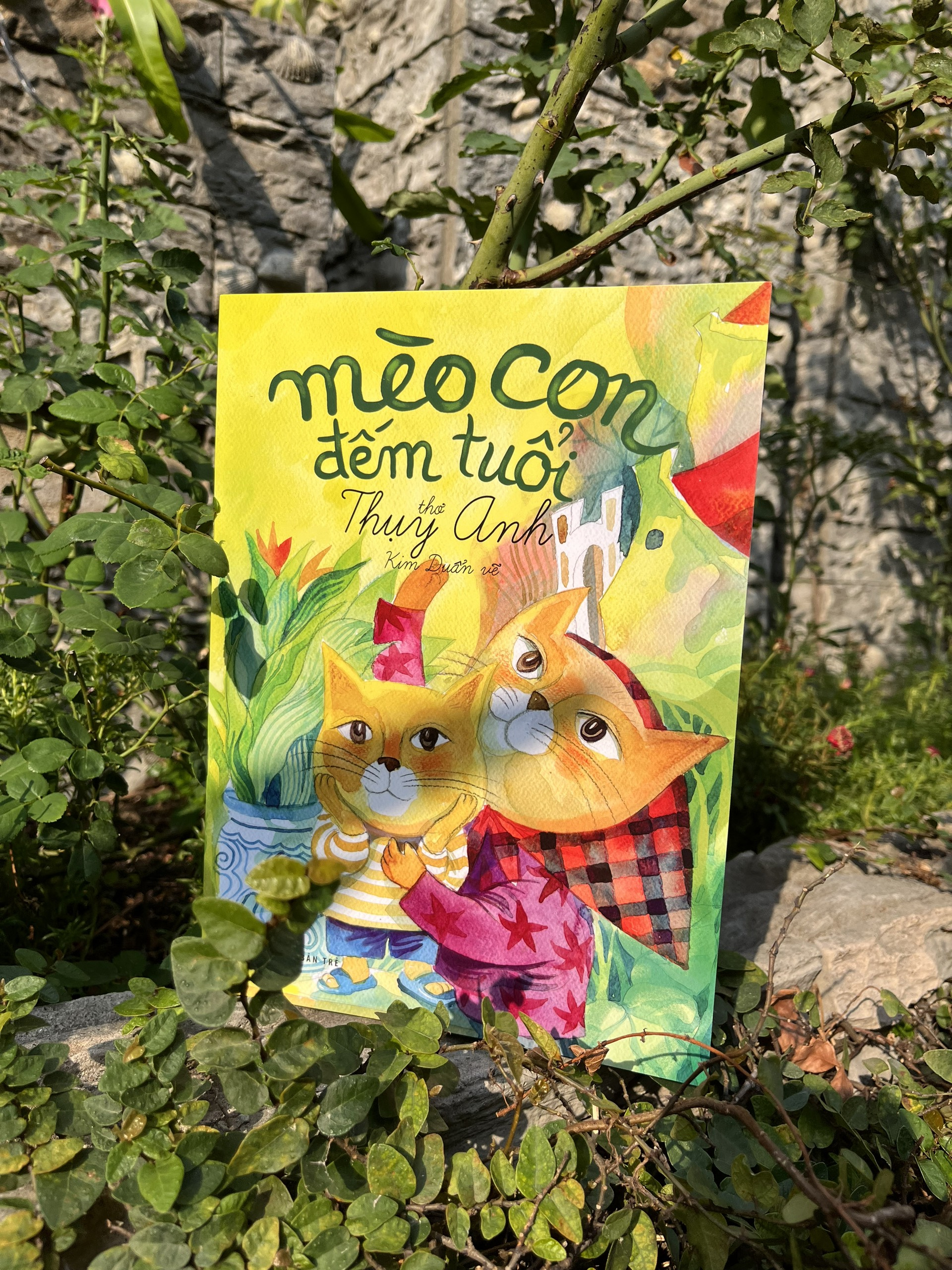 mèo con đếm tuổi - Ảnh 4