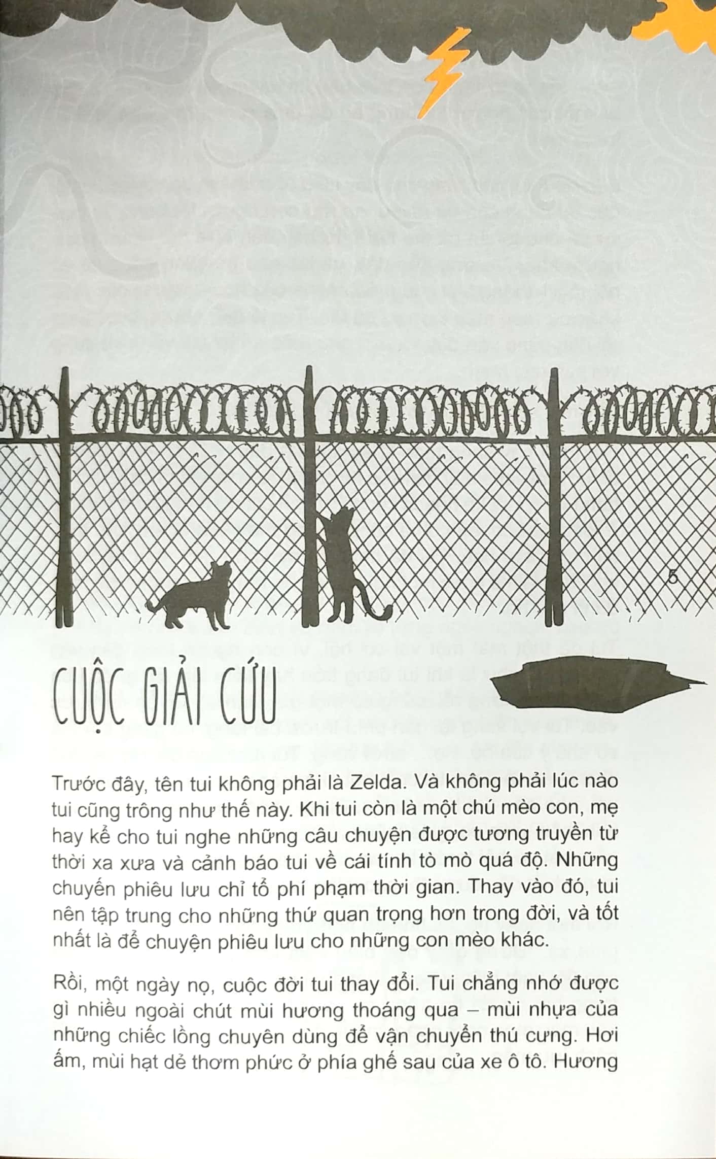 mèo con phiêu lưu ký - Ảnh 3
