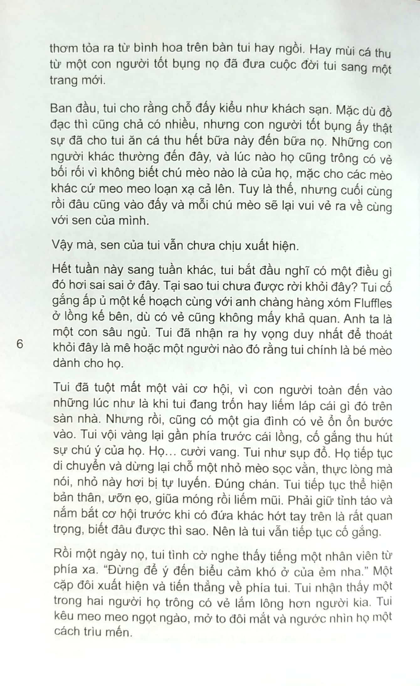 mèo con phiêu lưu ký - Ảnh 4