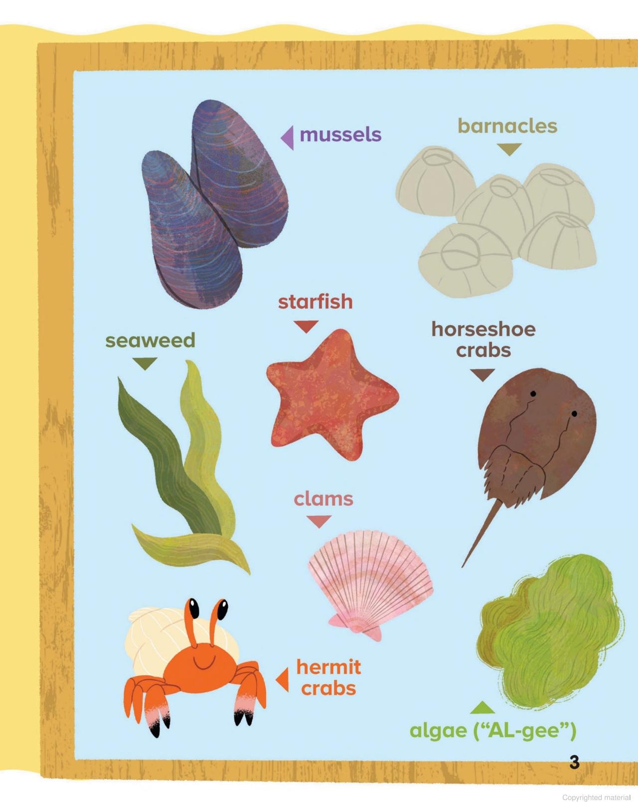 mermaid days - book 2 - the sea monster - Ảnh 8