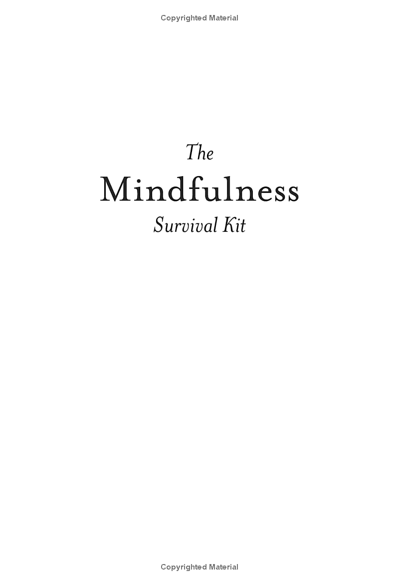 mindfulness survival kit : five essential practices - Ảnh 3