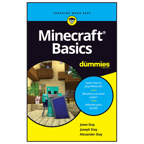 minecraft basics for dummies