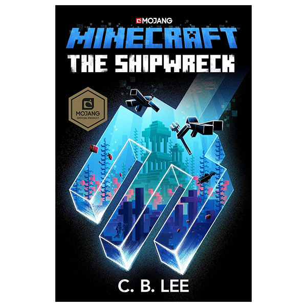 minecraft: the shipwreck