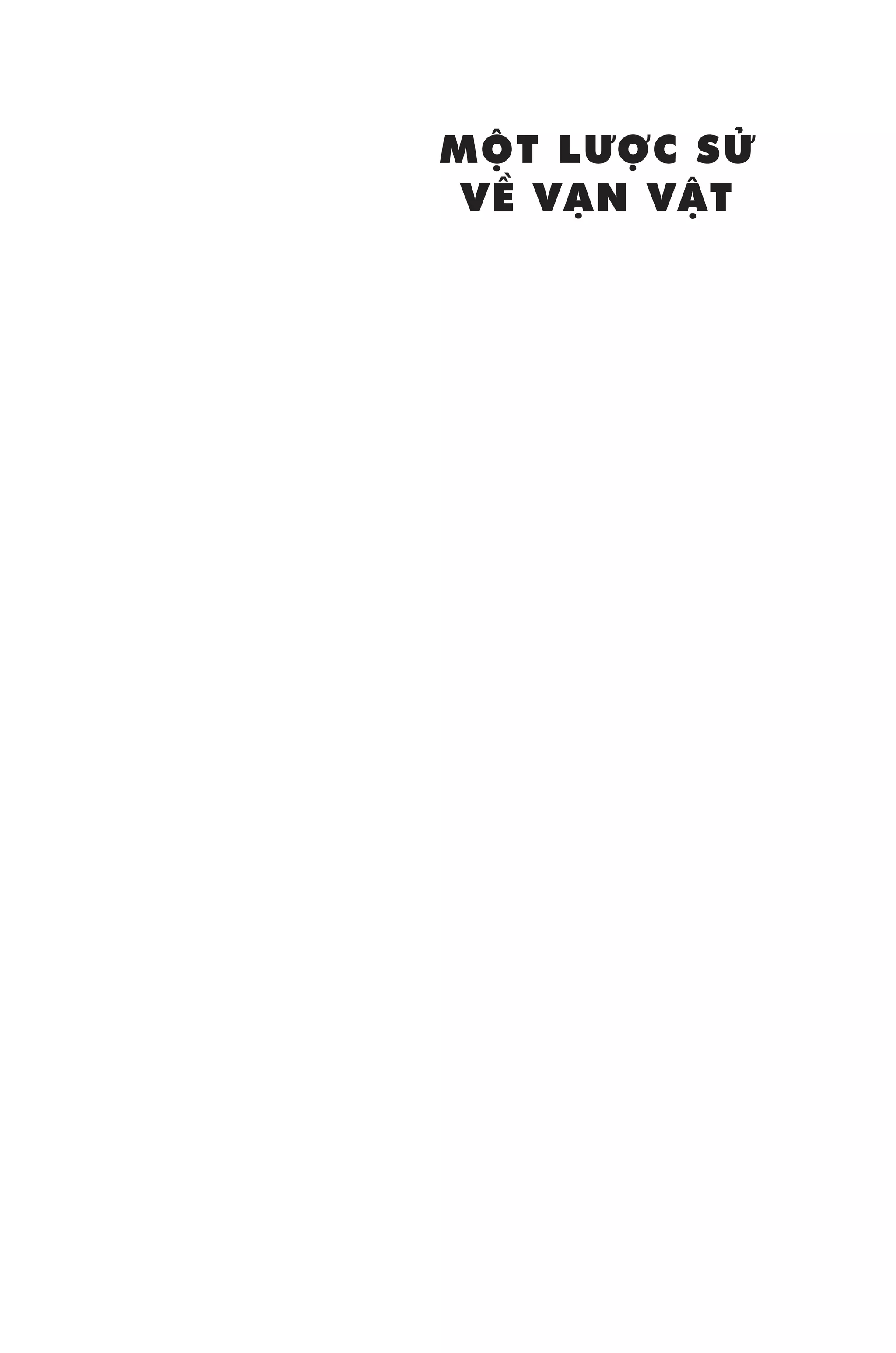 một lược sử về vạn vật - Ảnh 2