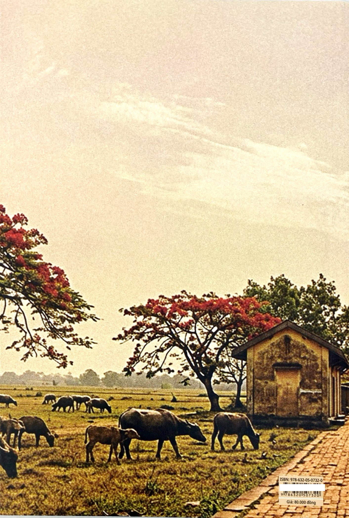 Một Thời Để Nhớ - Ảnh 7