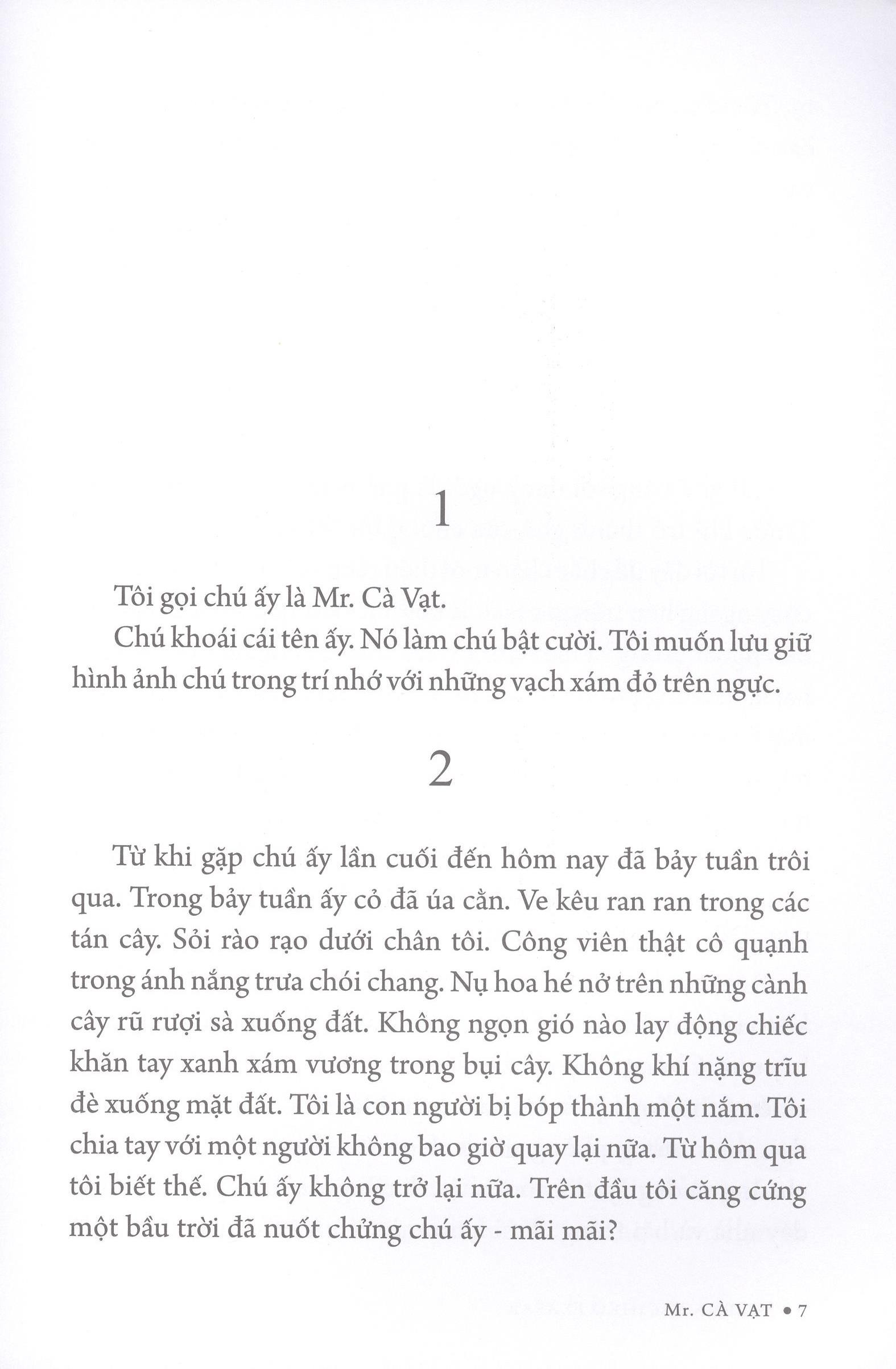 mr. cà vạt - Ảnh 3