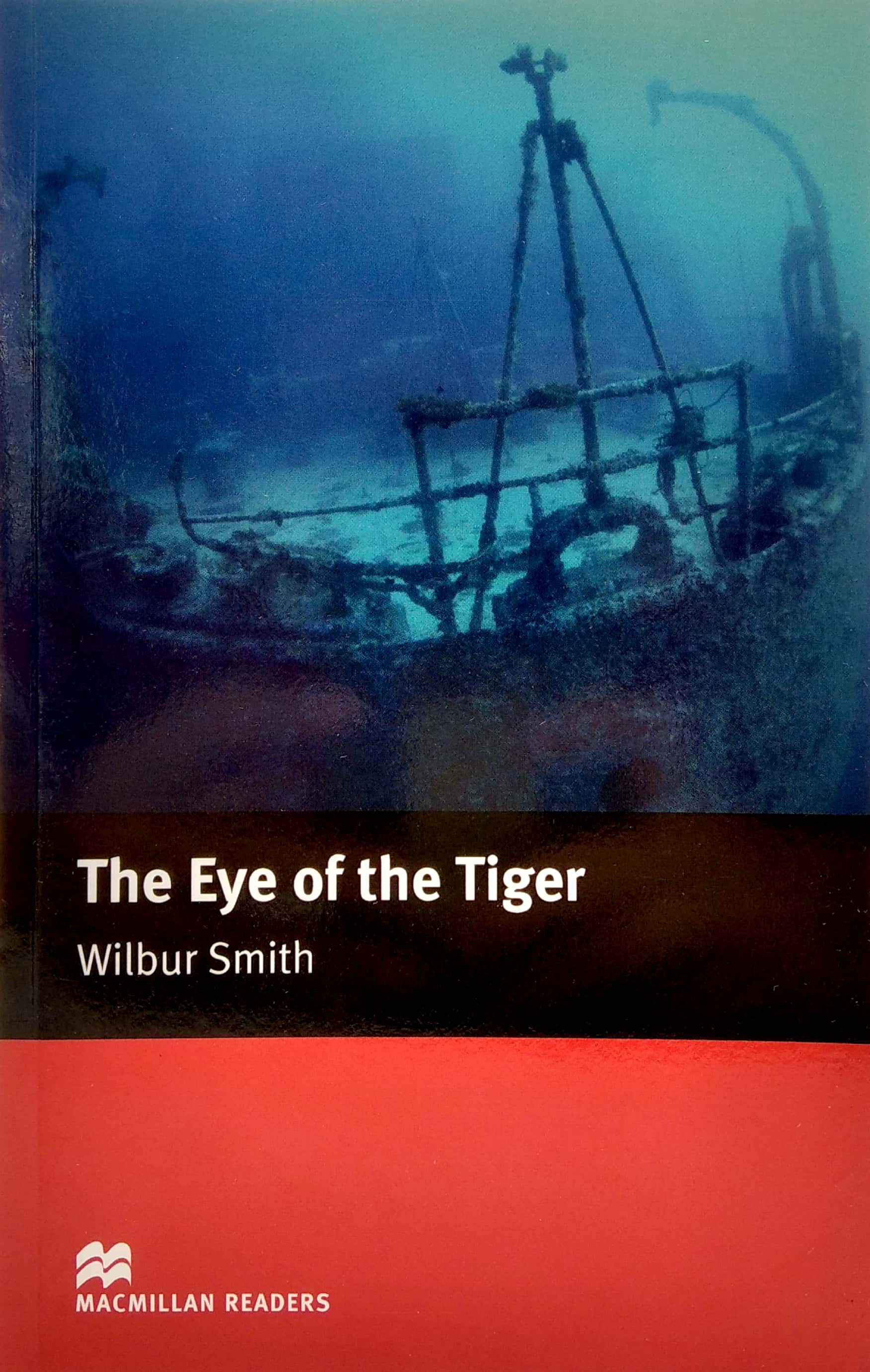 mr; eye of the tiger int - Ảnh 3