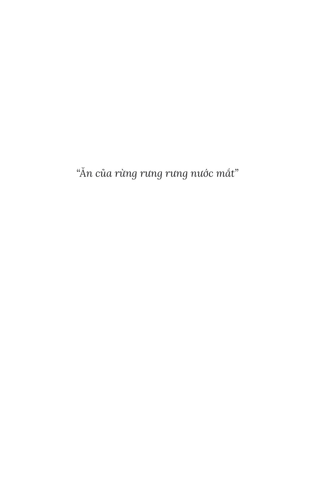 mùa động rừng - Ảnh 4