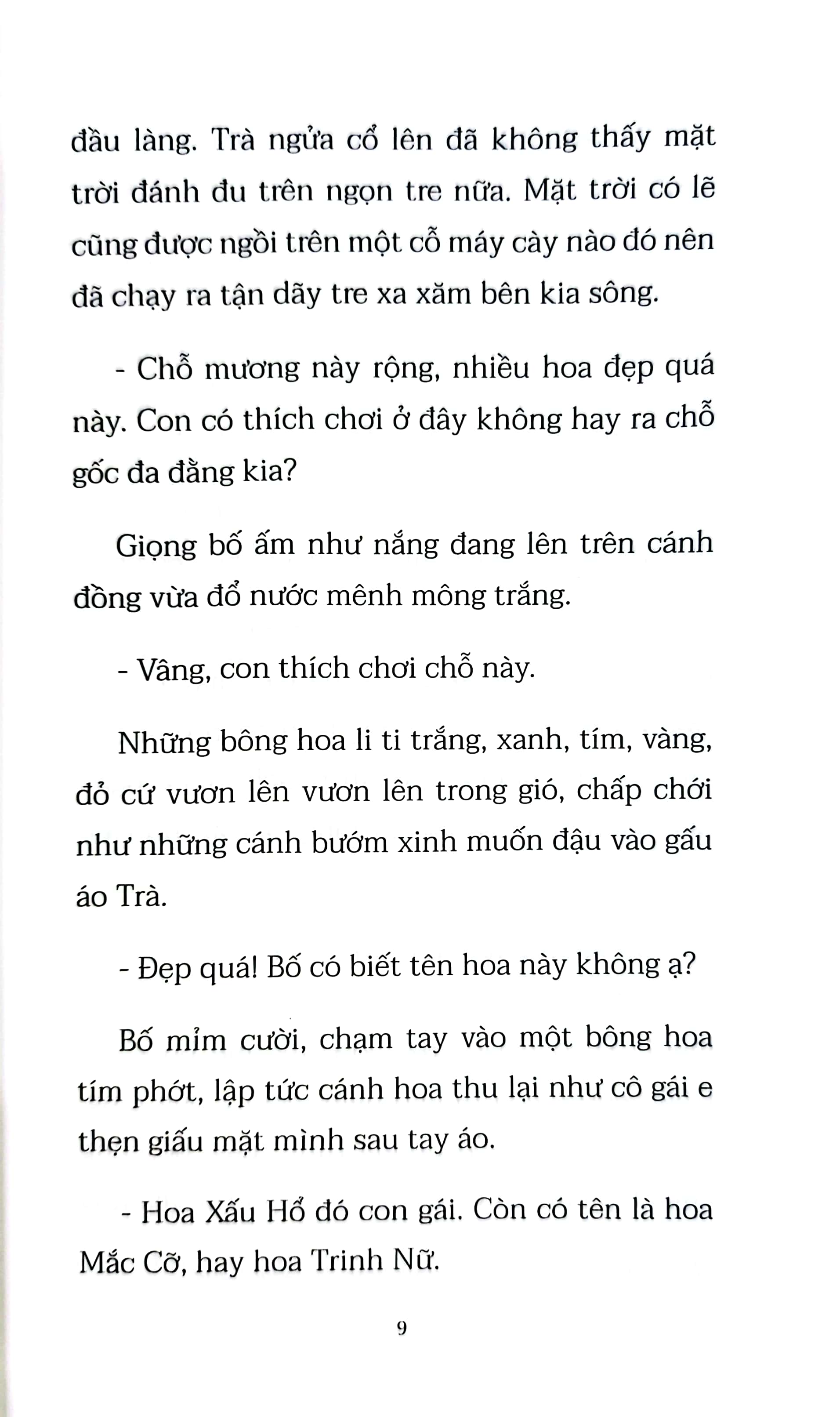 mùa hoa lưng chừng gió - Ảnh 8