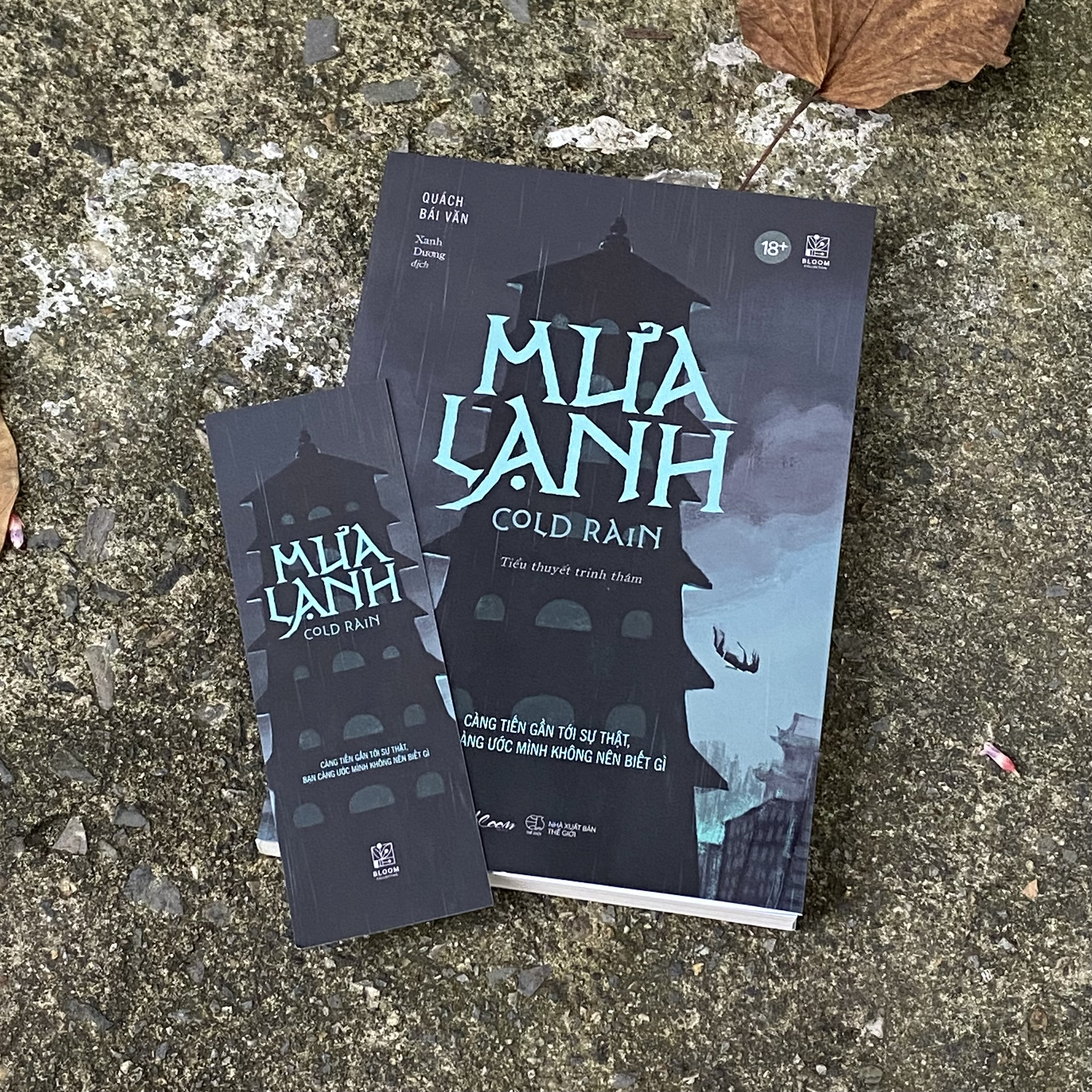 Mưa Lạnh - Cold Rain - Càng Tiến Gần Tới Sự Thật, Bạn Càng Ước Mình Không Nên Biết Gì - Ảnh 8