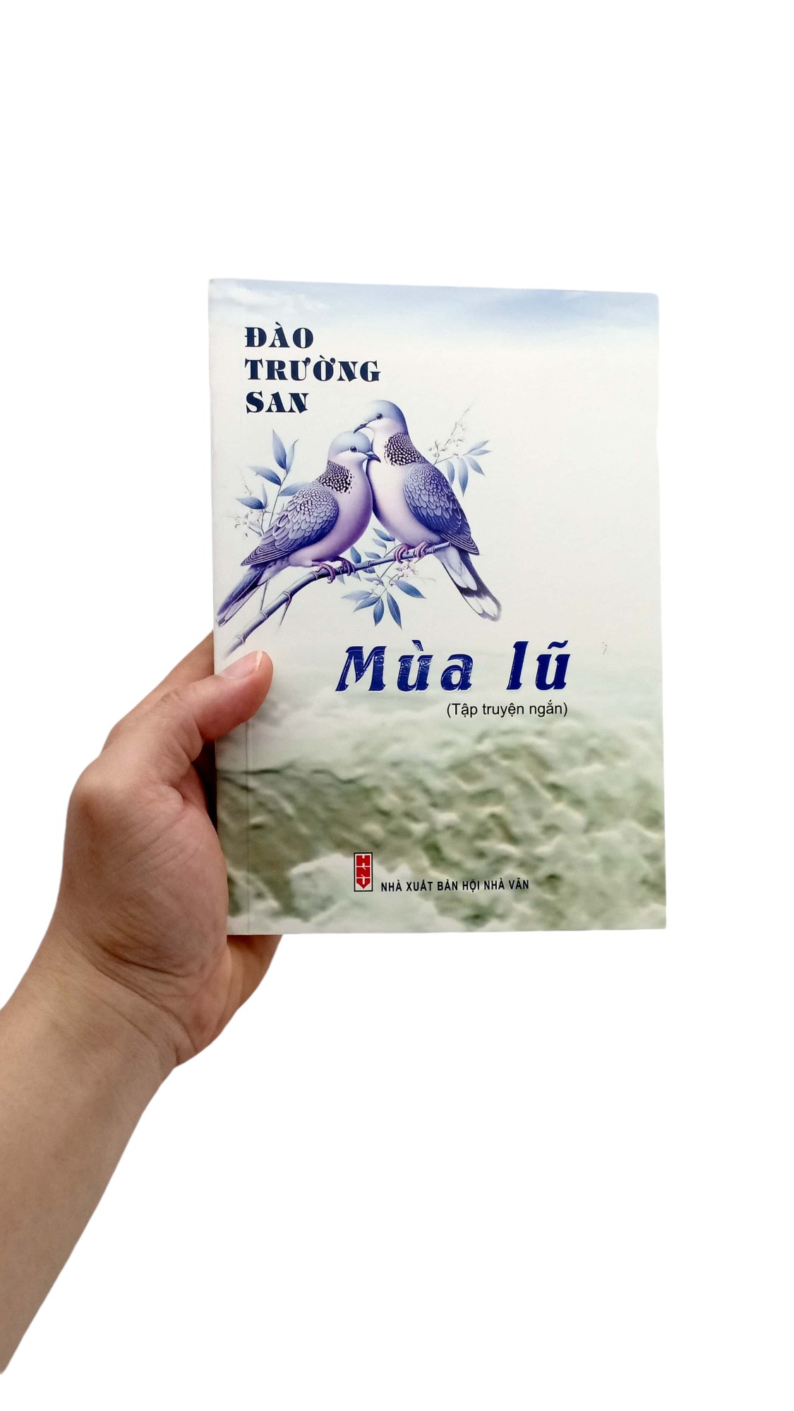 mùa lũ - Ảnh 7