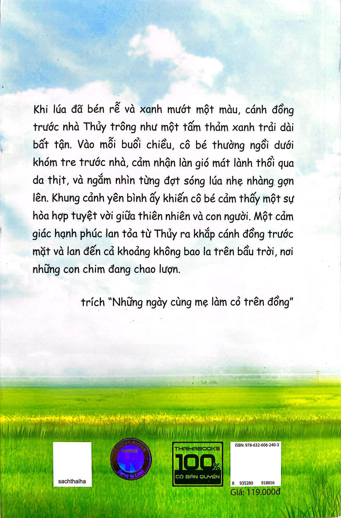 mùa lúa trổ đòng đòng - Ảnh 9
