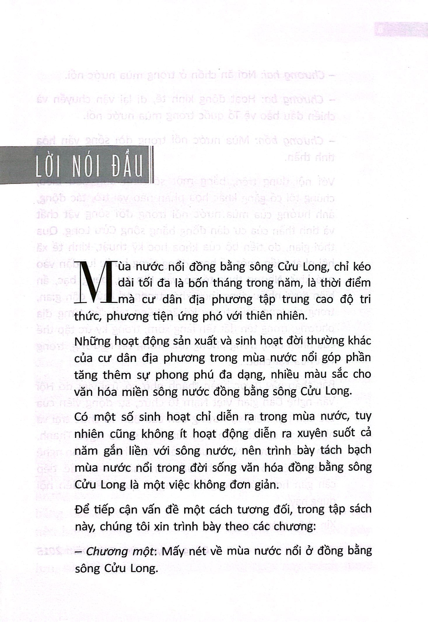 mùa nước nổi trong đời sống văn hoá đồng bằng sông cửu long - Ảnh 3