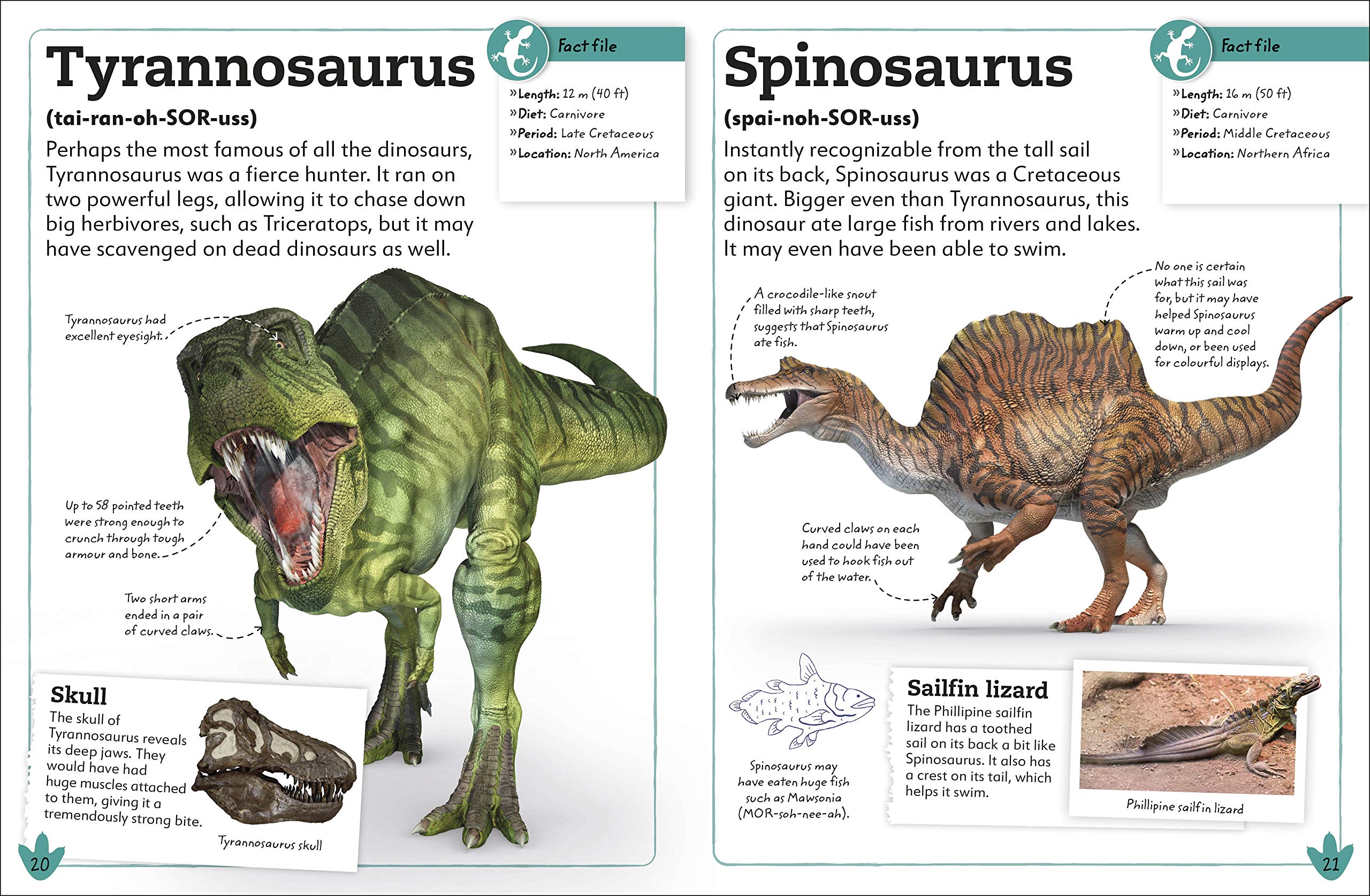 my book of dinosaurs and prehistoric life: animals and plants to amaze, surprise, and astonish! - Ảnh 5