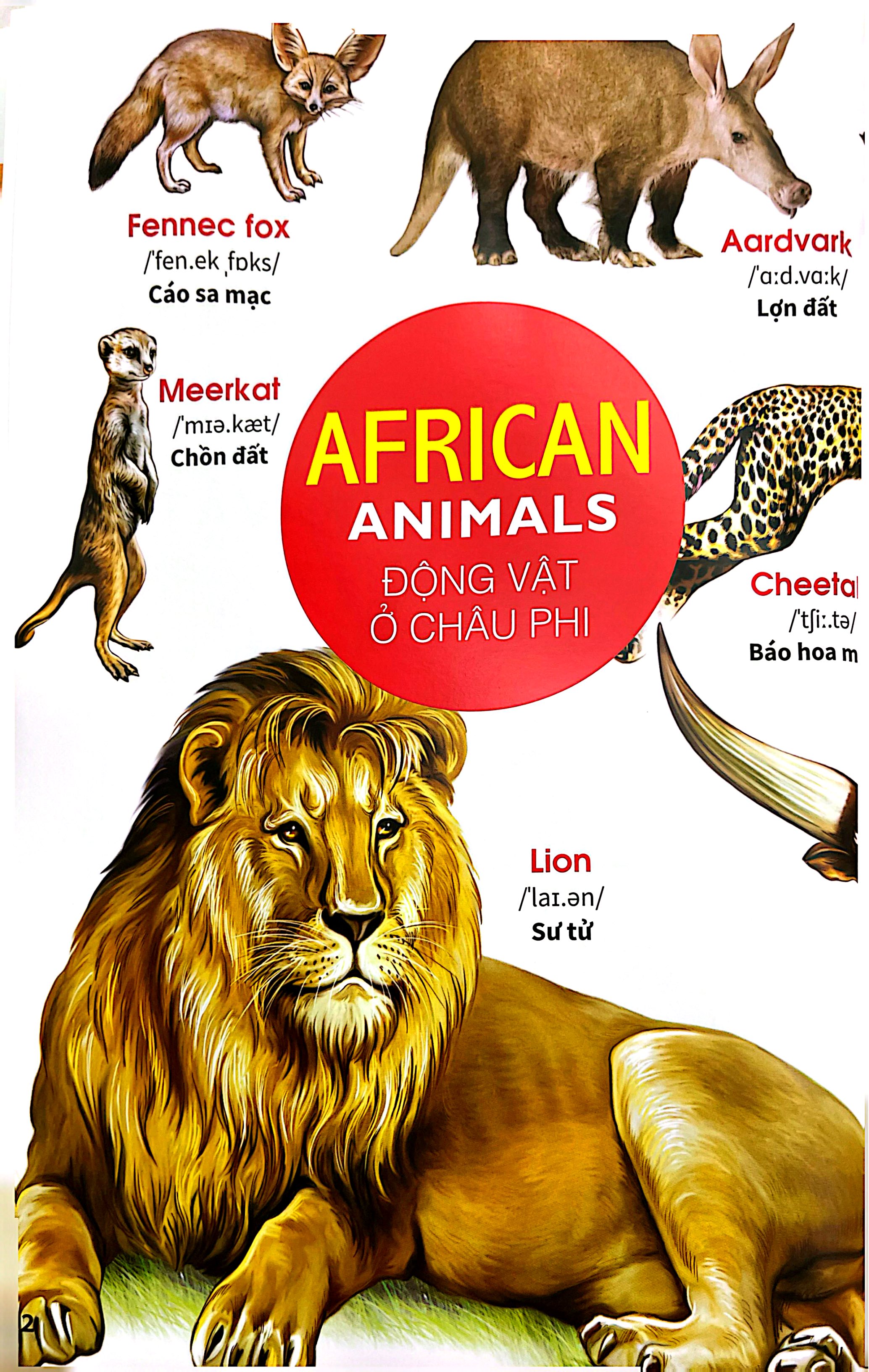 My First Book Of Animals - Thế Giới Động Vật - Ảnh 4
